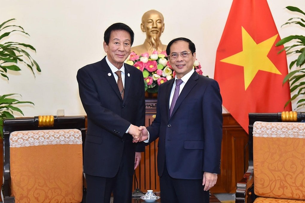 Foreign Minister Bui Thanh Son received the former Special Ambassador of Japan - Vietnam 0